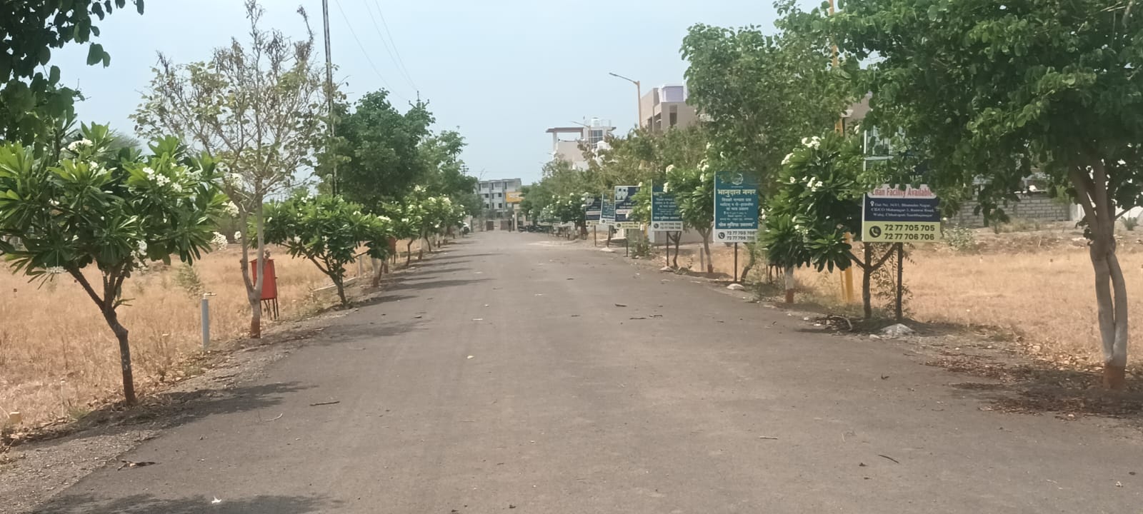 WhatsApp Image 2024-05-21 at 3.45.18 PM